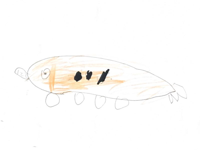 Illustration for article titled These Kids' Drawings Are The Best Future Cars Yet